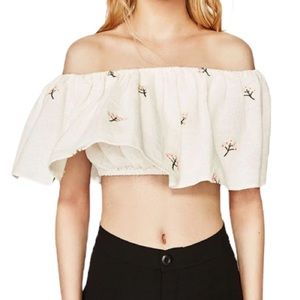 Zara Floral Embroidered Crop Top